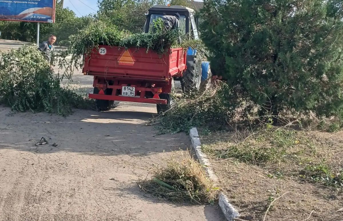 МБУ «Спецсервис» благодарят за чистоту и порядок