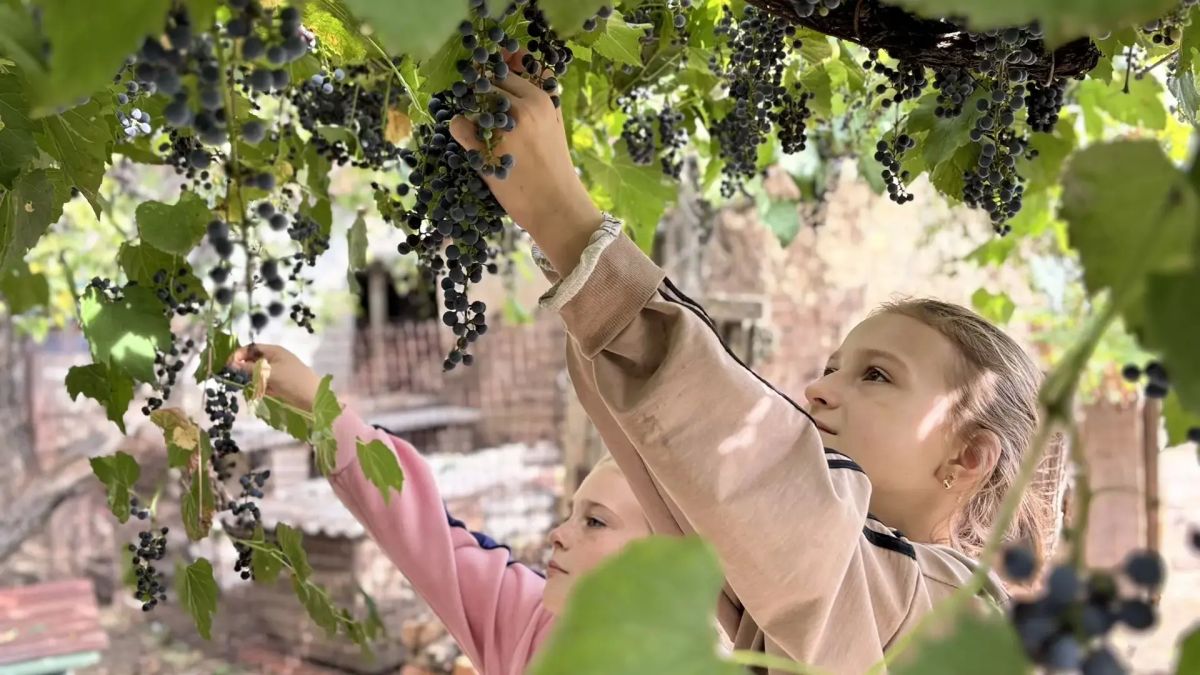 Ко Дню пожилого человека работники культуры села Дмитровка вместе с детьми помогли навести порядок на придомовых территориях пожилых жителей села