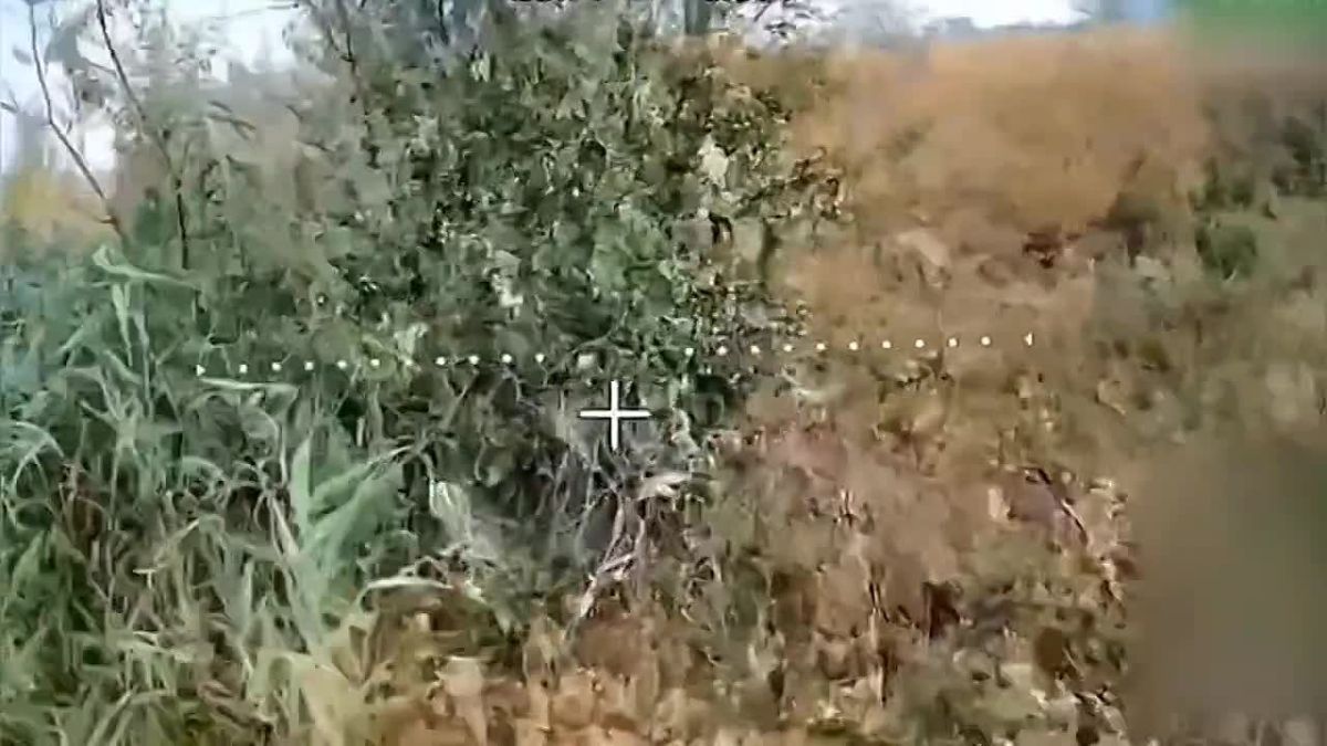Никакой ротации: Дроноводы группировки «Днепр» сорвали попытку ВСУ перебросить свежие силы на правобережье