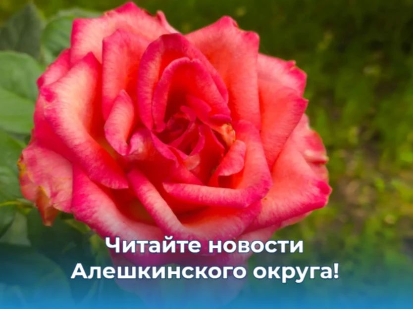 Оставайтесь в центре событий Алешкинского округа!