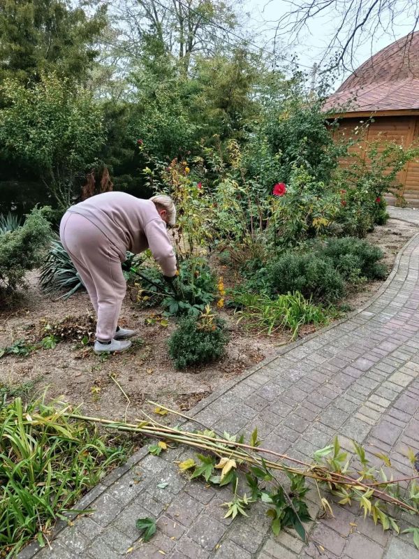 Сезонные работы по благоустройству в Геническом округе