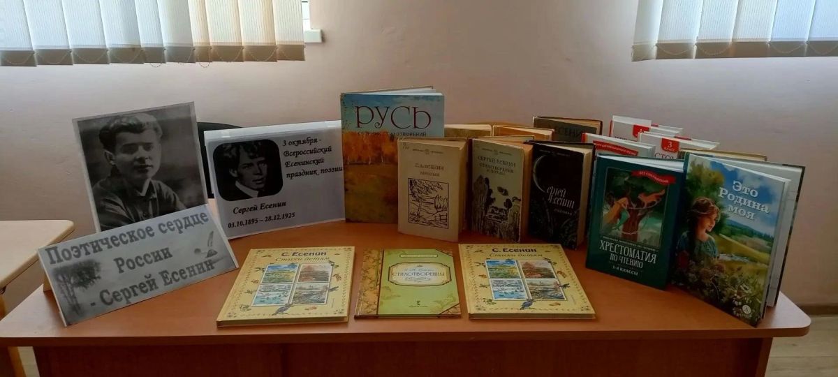 В Дудчинской библиотеки прошёл Есенинский праздник поэзии