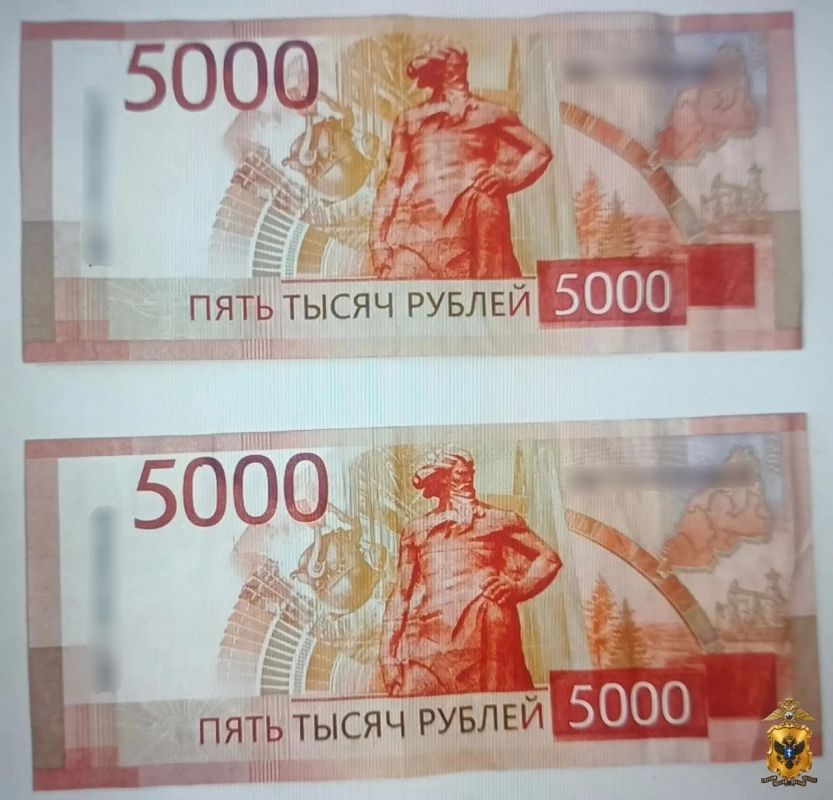 В Нижнесерогозском округе полицейские раскрыли кражу денег из дома пенсионерки