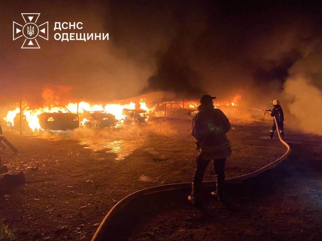 В результате атаки на Одесскую область повреждены автостоянка и приют для животных