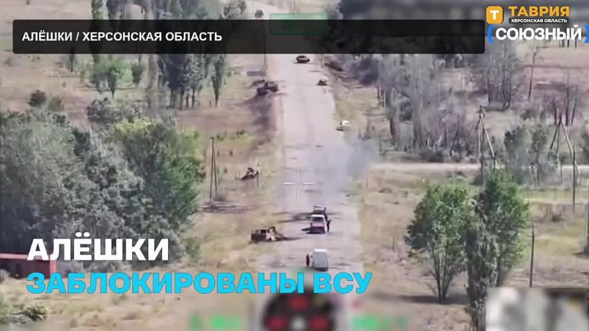 Киевский режим устроил в Алешках средневековую блокаду современными методами, заявил Родион Мирошник