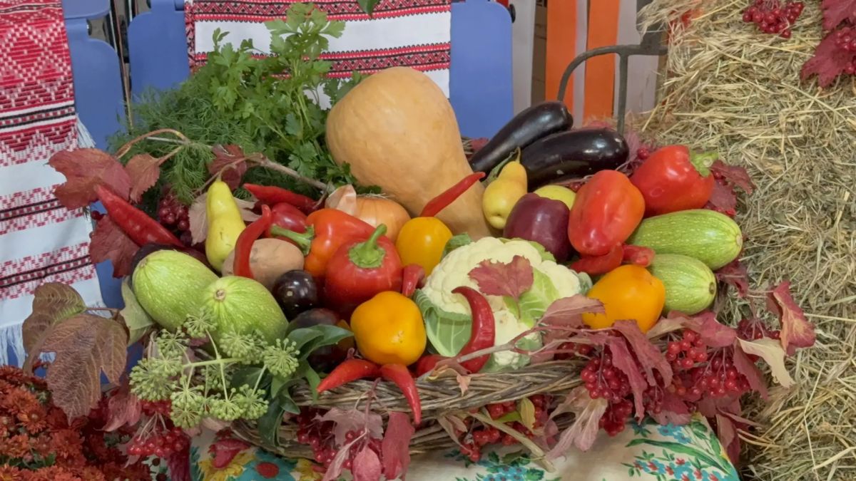 Чтобы урожай был, одной хорошей земли недостаточно