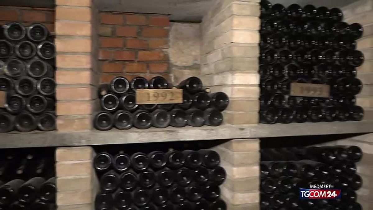 В Италии воры обнесли одну из старейших виноделен сразу на 30 000 бутылок общей стоимостью пять миллионов евро