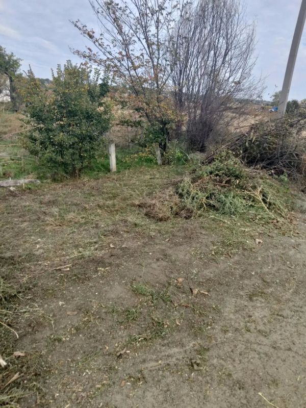 По поручению врип главы муниципального округа Виталия Музыканта МБУ «Спецсервис» проводит масштабную работу по очистке территорий возле нежилых домов