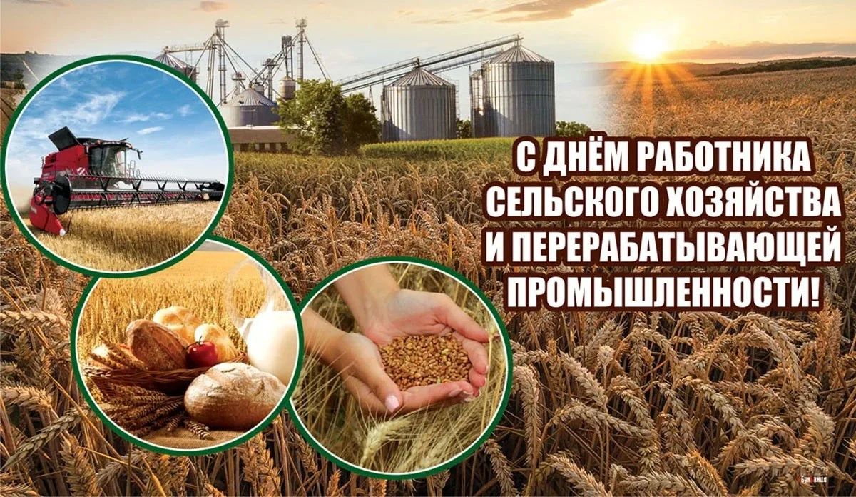 Уважаемые труженики села, работники агропромышленного комплекса Новотроицкого муниципального округа!