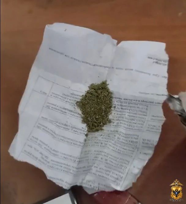 Полицейские изъяли растительный наркотик у жителя Ивановского округа