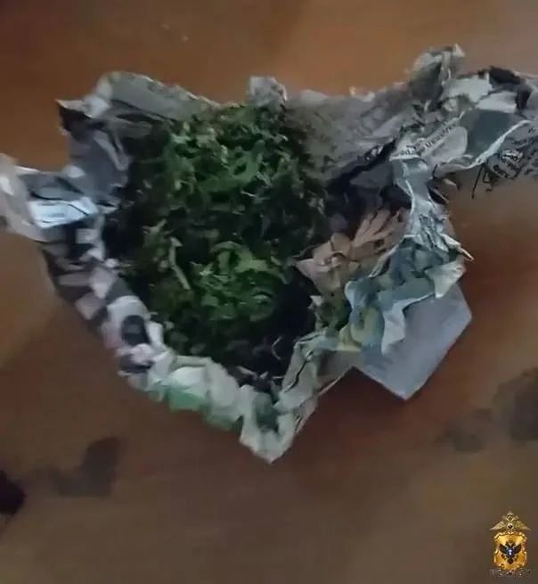 Урожайный «самосад»: полиция Ивановского округа изъяла марихуану у местного любителя ботаники