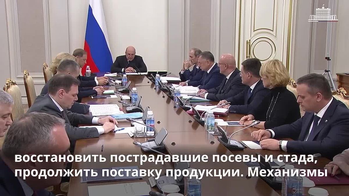 Урожай под защитой: аграриям Херсонщины станет доступно льготное страхование