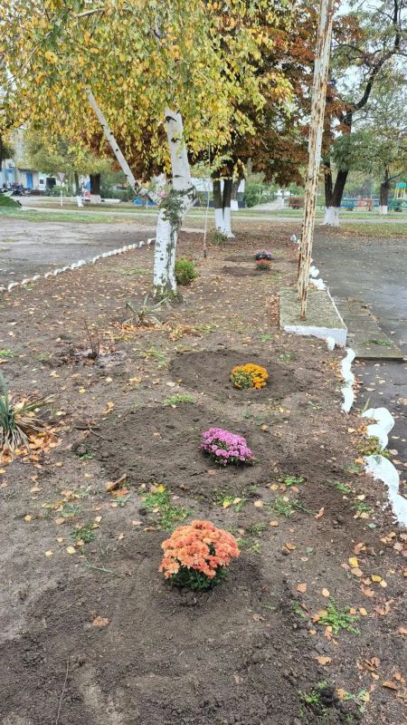 «Подари красоту»: ещё немного уюта и гармонии в нашем округе