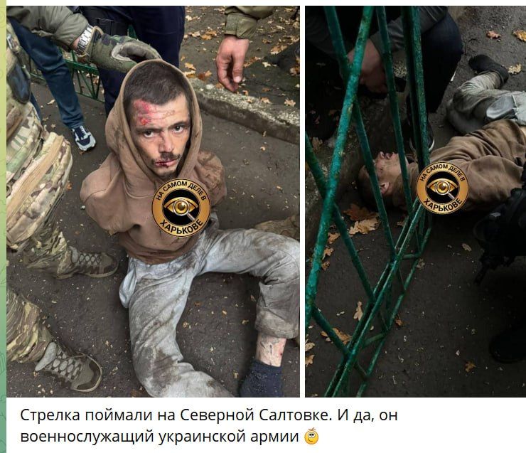 Вот в эту версию мы как-то охотнее верим