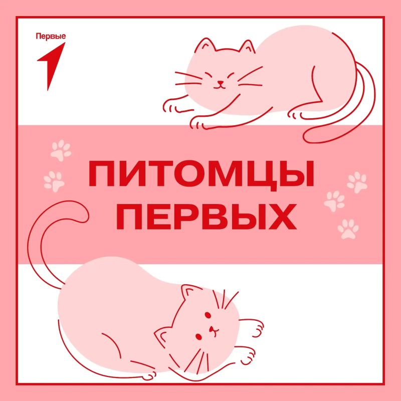 Первые и их любимцы!. Ничто так не согревает в холодный осенний день, как мысль о пушистом чуде