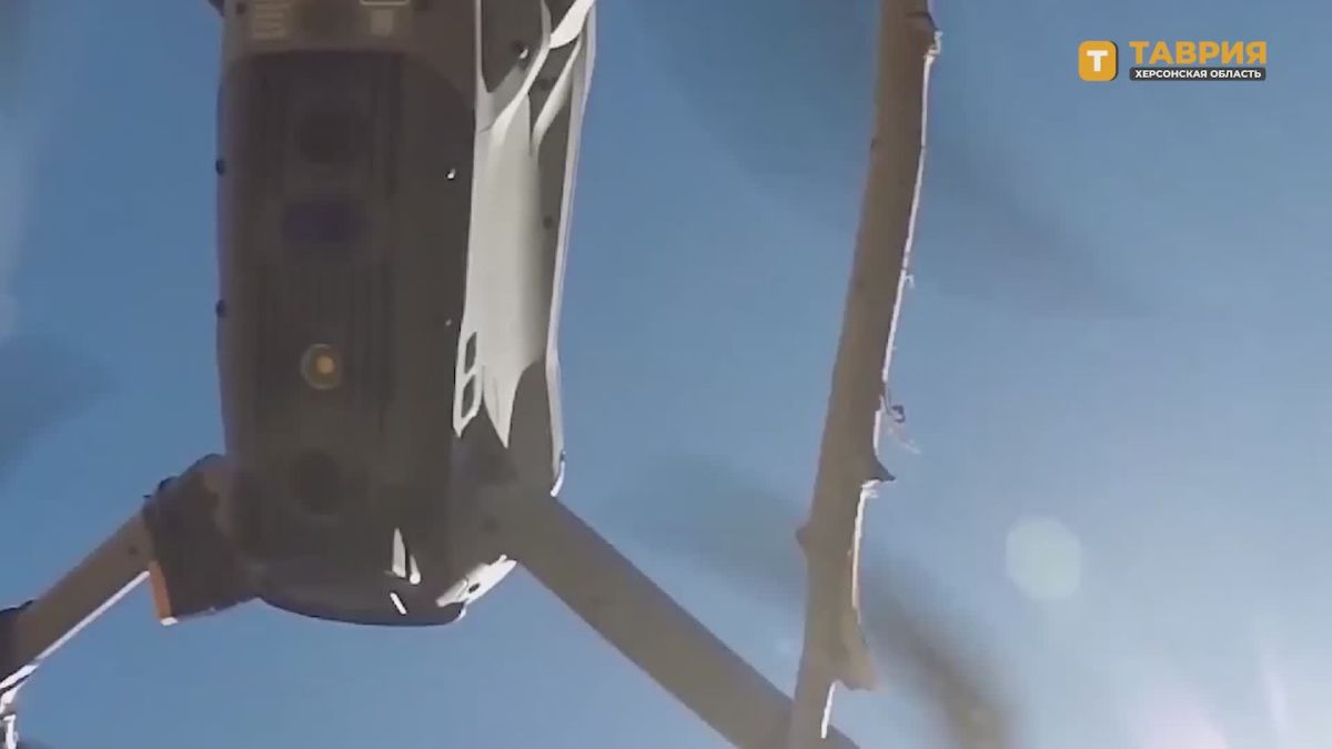 Бойцы 58-й армии группировки войск "Днепр" поразили скопления живой силы и пункты управления БпЛА ВСУ на Запорожском направлении