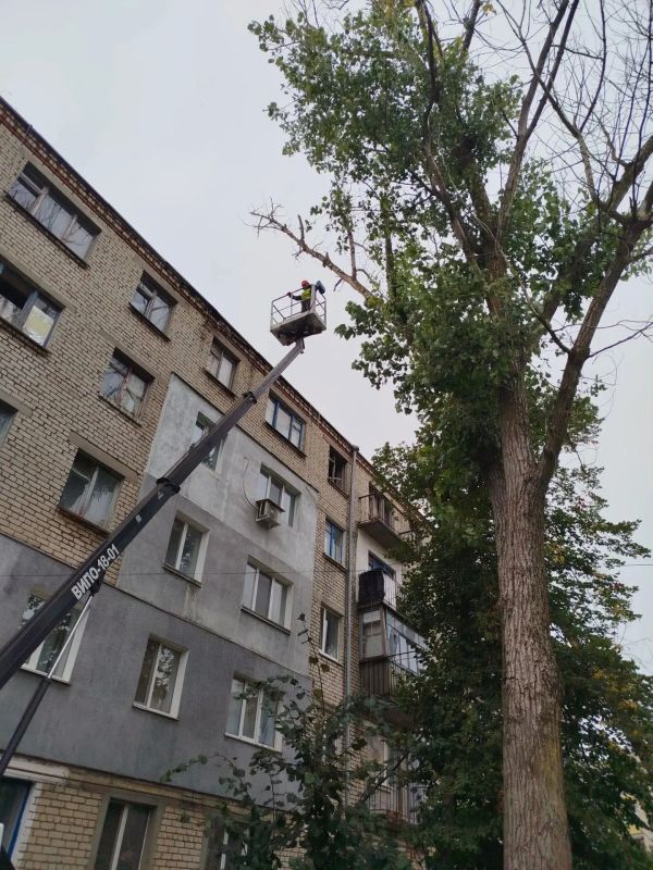 О проведении работ по благоустройству территории