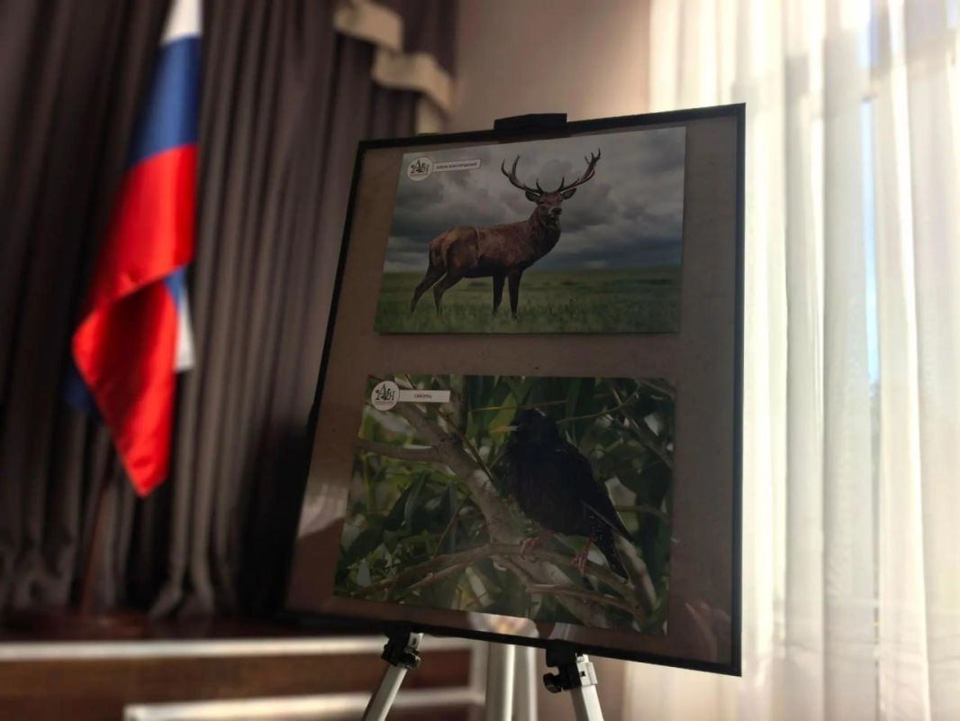 В Геническе открылась фотовыставка, посвященная флоре и фауне региона