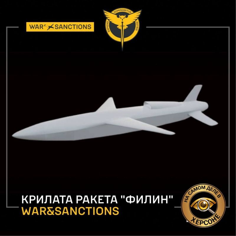 ГУР Украины сообщает, что Россия применила новую ракету «Филин»