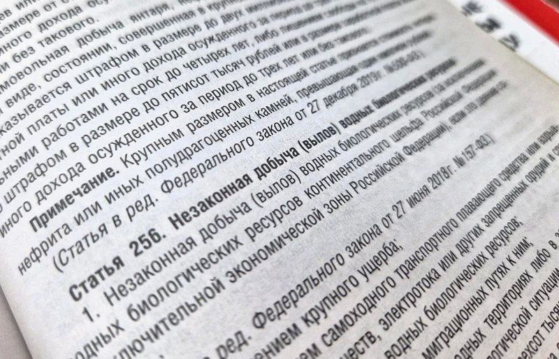 Прокуратура поддержала государственное обвинение по уголовному делу о незаконной ловле водных биологических ресурсов