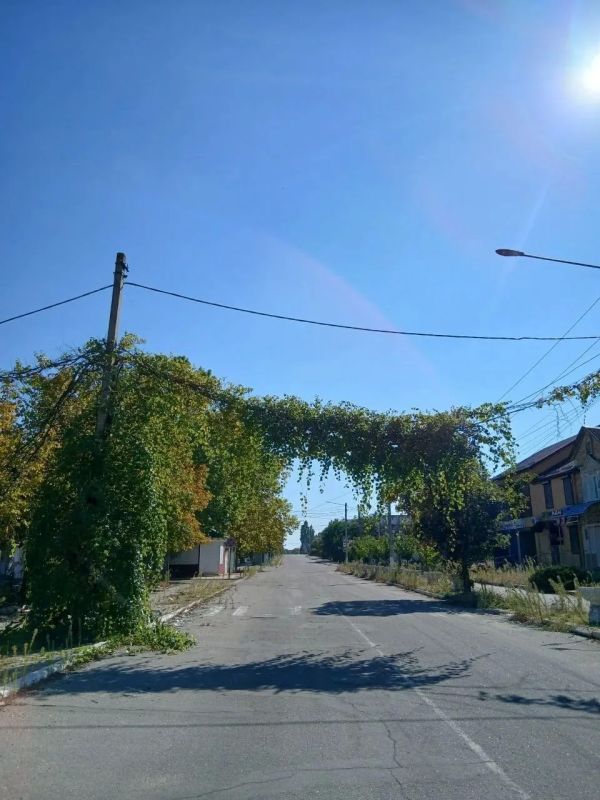 Доброе утро, Родина!