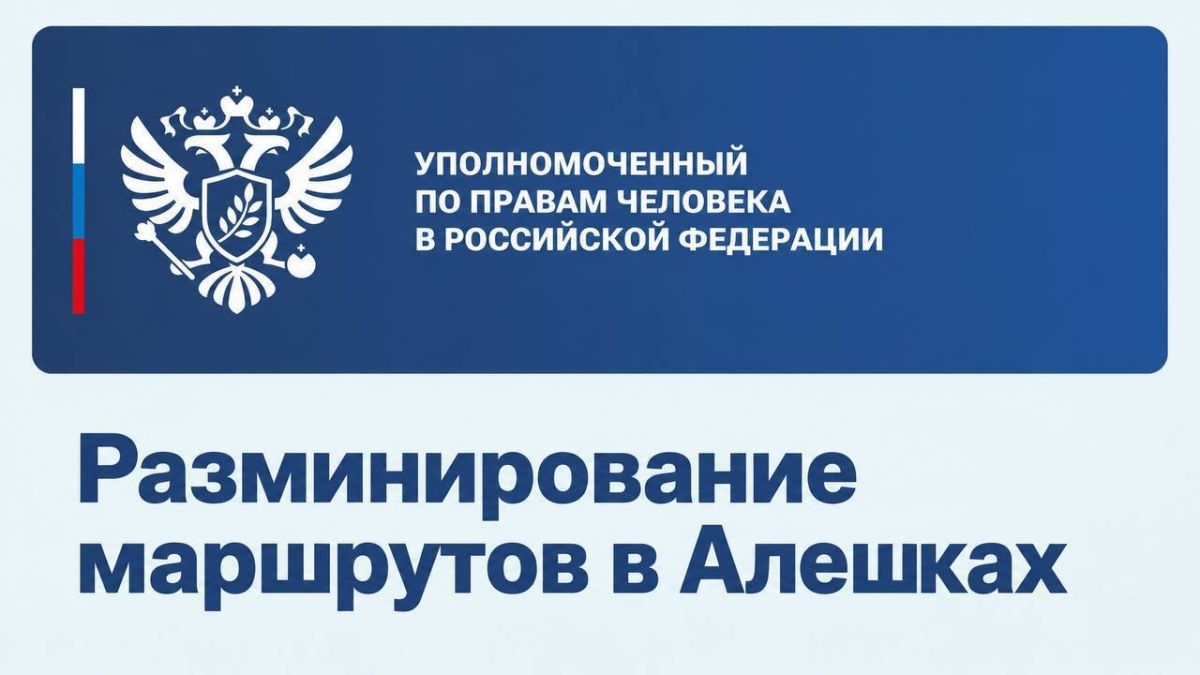 Дмитрий Стешин: Дорогу в Алешки начали разминировать