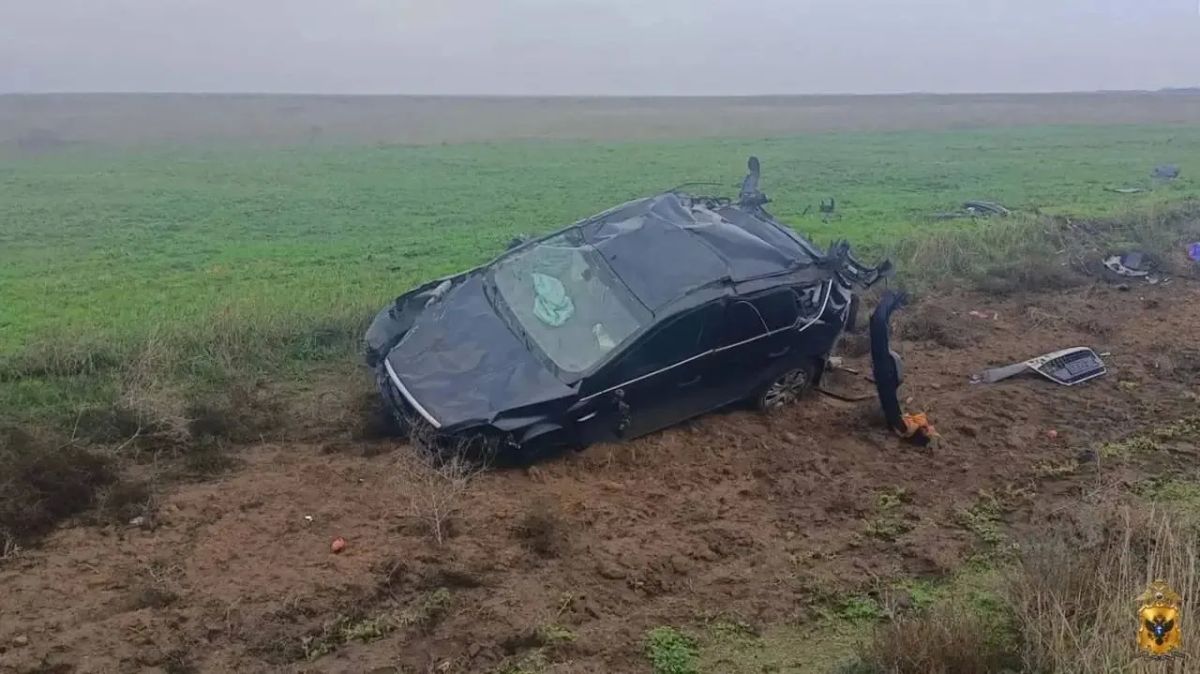 В Чаплинском округе 57-летний мужчина получил травмы в ДТП