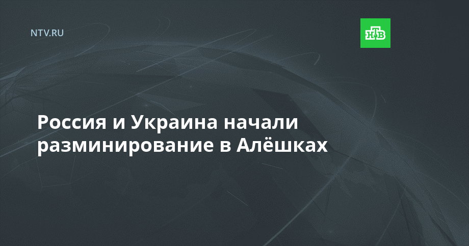 Россия и Украина начали разминирование в Алёшках